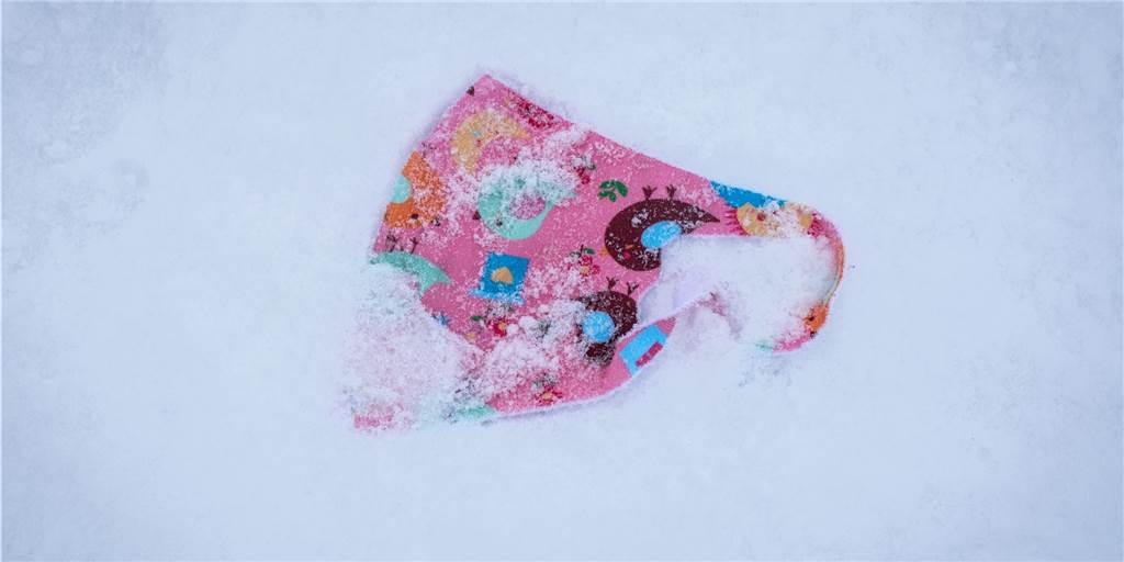 Corona und Schnee: Deutschlands miserables Krisenmanagement Deutschland gibt beim Krisenmanagement derzeit ein miserables Bild ab, meint unser Autor. Und bei den Corona-Schutzmaßnahmen sei es dringend an der Zeit, eine neue Grundsatzdiskussion zu führen.