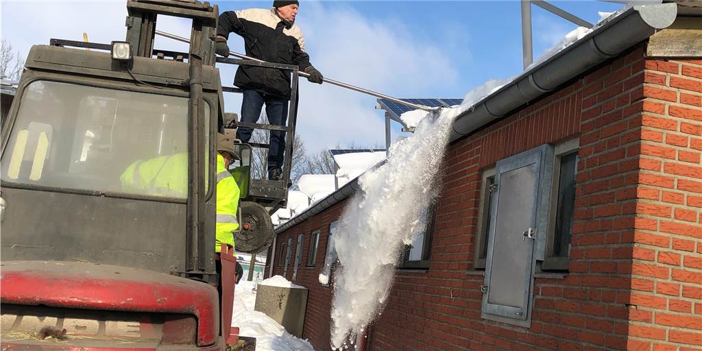 Mit Video: Warum der Legdener Reitverein den Dächern seiner Reithallen einheizt Fitnesseinheit für den Vorsitzenden: Karl-Heinz Meiß rückte dem Schnee auf dem Reithallendach vom Korb eines Gabelstaplers aus mit Muskelkraft zuleibe. Auch die Dachrinnen legte er frei, um vorzubeugen.