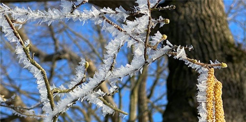 Der Schnee schmilzt - aber das muss nicht das Ende des Winters sein Die Winter-Wunderlandschaft löst sich gerade auf, aber auch im März kann es knackig kalt werden.