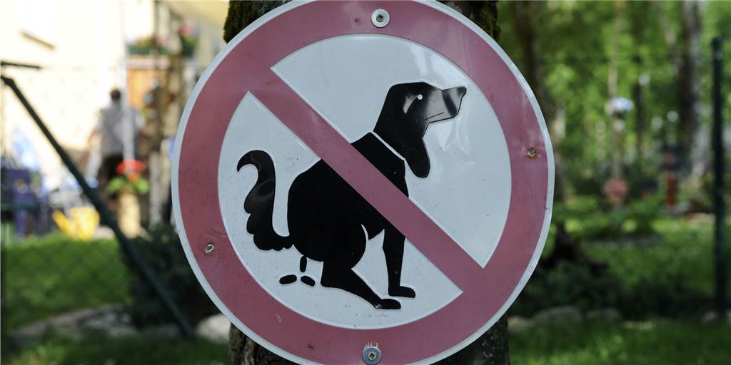 Hundekot-Problem in Herbern: Macht gefälligst diese Haufen weg! Öffentliche Flächen werden oftmals als Hundeklo benutzt - auch in Herbern. Widerlich, findet unsere Autorin das.