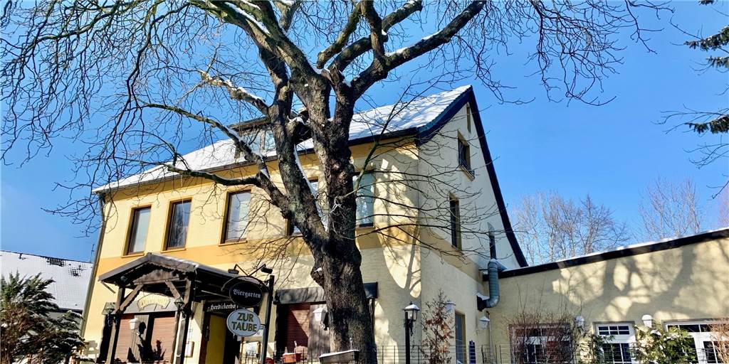 147 Jahre alte Kastanie gefällt: Sie muss den Platz für einen Neubau frei machen Das wohl letzte Foto von der 147 Jahre alten Kastanie: Es ist am 11. Februar 2021 entstanden.