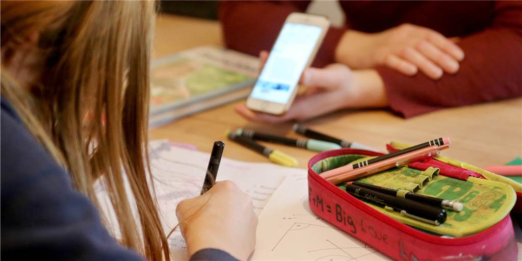Digitaler Unterricht zu Hause: Frust bei Lehrern, Eltern und Schülern Digitaler Unterricht zu Hause: Frust bei Lehrern, Eltern und Schülern