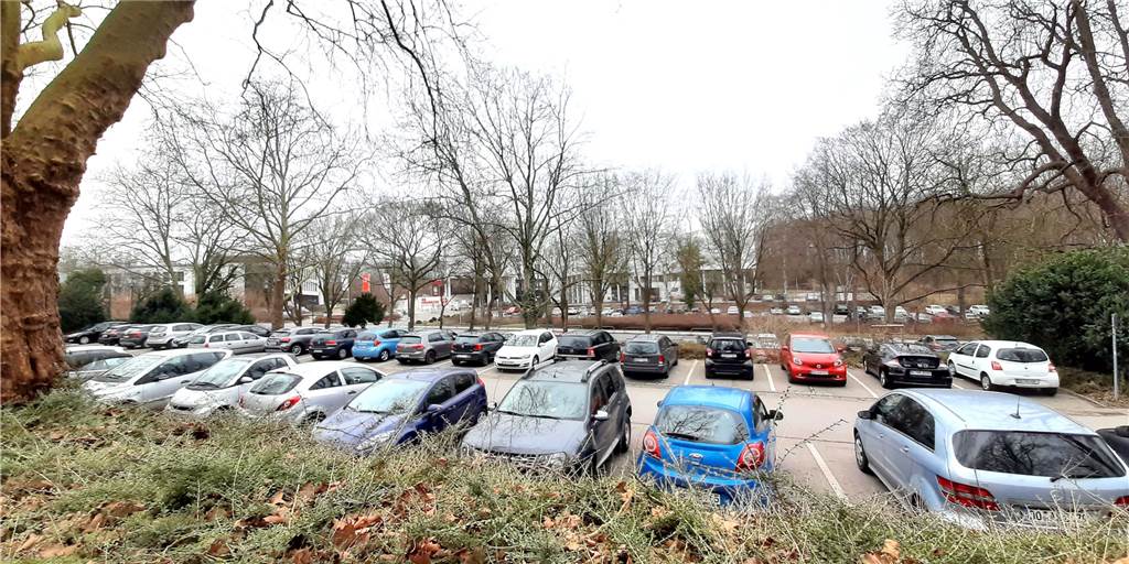 Parkplätze am Rombergpark: Lösungsvorschlag gegen das Chaos kommt wohl im Sommer Das Foto entstand an einem tristen Vormittag in der Woche. Selbst dann sind die Parkplätze nahezu komplett belegt.