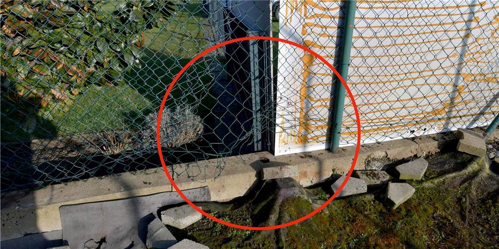 Nach „Wildschwein-Besuch“ haben einige Hausbesitzer jetzt ein Problem Zäune waren für das Wildschein im Hermann-Löns-Weg kein großes Hindernis, es fand immer einen Weg.