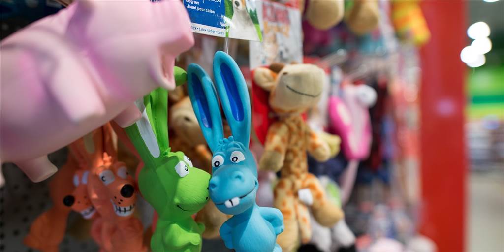 Großzügige Geschenke liefern Hinweis auf einen Einbruch bei Fressnapf Viel Hundespielzeug war unter dem Diebesgut.