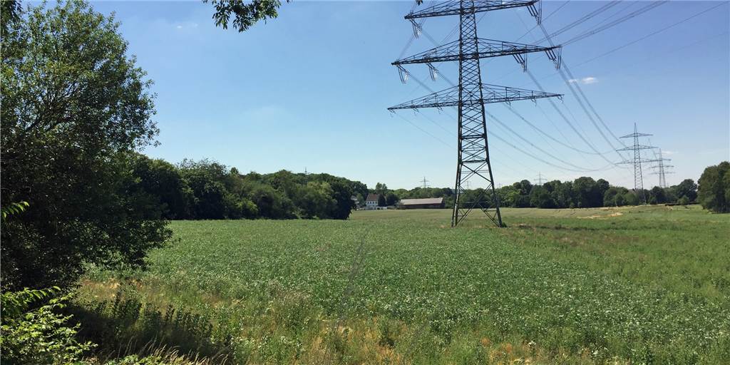 Nach Anwohner-Protesten: DEW21 präsentiert Pläne für neues Umspannwerk Um diese Freifläche an der Gotthelfstraße geht es. DEW21 kann sich hier gut den Neubau eines Umspannwerks vorstellen.