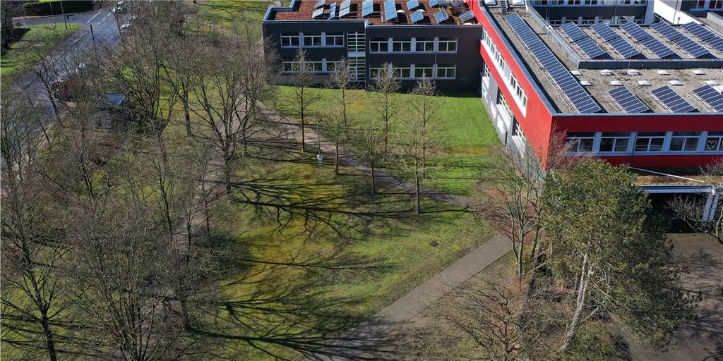 Raumnot: Schule in Dorsten soll einen „Container-Campus“ bekommen Der „Container-Campus“ soll südlich des bestehenden Schulgebäudes an der Pliesterbecker Straße entstehen, mit eigenem Außenbereich. Die Bäume bleiben erhalten.