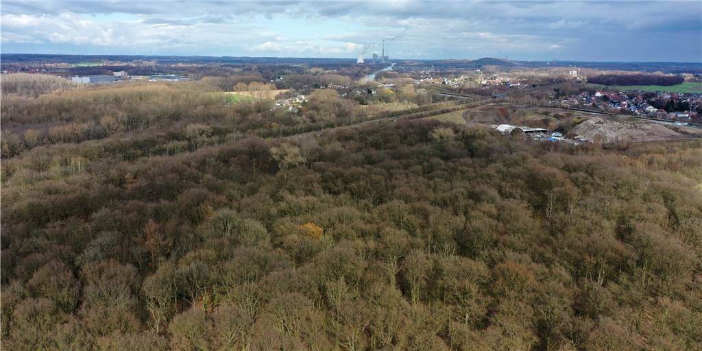 Volkspark Schwansbell bekommt Sportpfad und digitale Lerntafeln Für den Wald von Schwansbell gibt es im Rahmen der IGA 2027 ein neues Konzept.