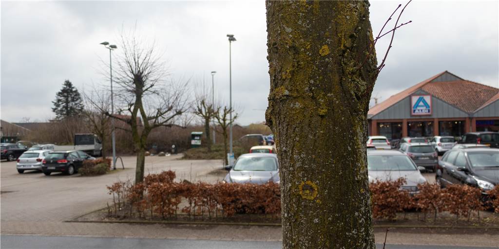 Drogeriemarkt Oeding: Alte Bäume weichen, neue Parkplätze kommen Die Bäume entlang der Pfarrer-Becker-Straße sollen gefällt und durch mehrere neue ersetzt werden – so sieht es der Planentwurf vor, der im Bauausschuss vorgestellt wurde. Es ging um den Kirmesplatz, der trotz einiger neuer Parkplätze ein Multifunktionsplatz bleiben soll.