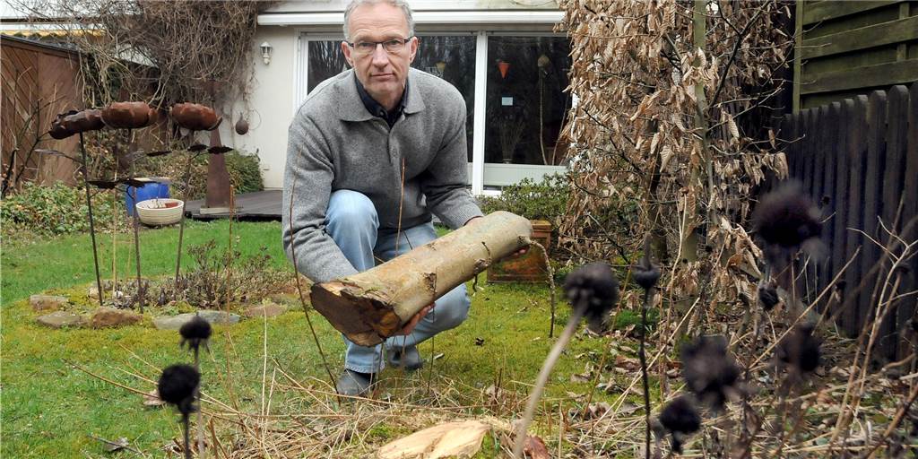 Nachbarschaftsstreit eskaliert: Als Arne Siegel nach Hause kam, war die Esche im Garten gefällt Nur der Stumpf im Boden und ein Stückchen vom abgesägten Stamm sind Arne Siegel von der Esche in seinem Reihenhausgarten geblieben.