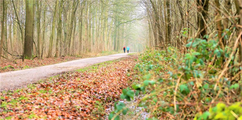 Entsetzen nach Messer-Angriff im Wald: „Was geht bei uns ab?“ Aktuell laufen noch die polizeilichen Ermittlungen zum Messer-Angriff im Rahmer Unser Archivbild zeigt nicht den genauen Tatort..