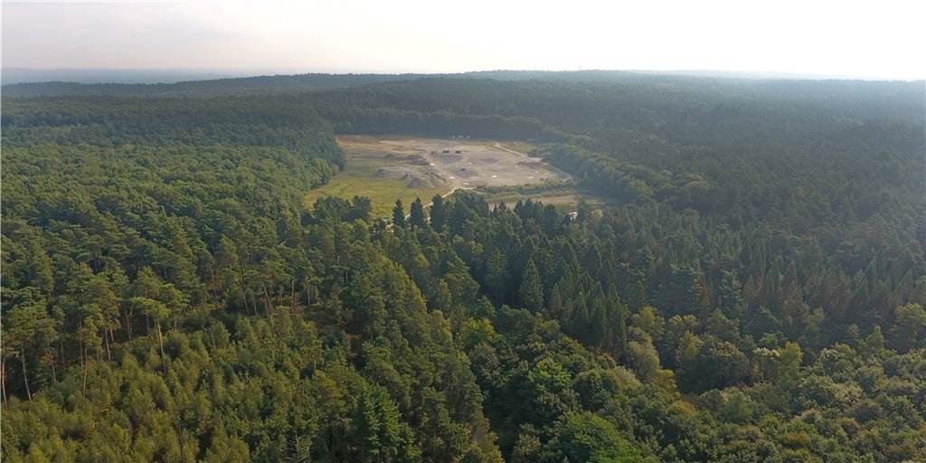 Minister Laumann zur Forensik: „Wir halten am Standort Haltern fest!“ Das vorgesehene Grundstück für die Maßregelvollzugsklinik liegt eingebettet in viel Wald.