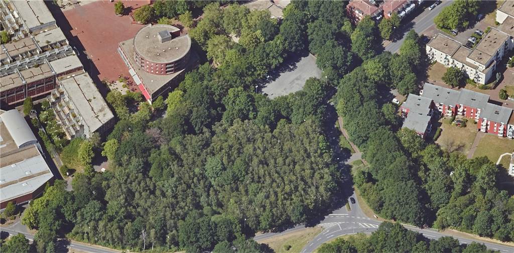 Wäldchen in Dorsten muss für einen neuen Kindergarten weichen Auf dem bewaldeten Bereich unterhalb des Rundbaus am Wulfener Markt soll eine neue Kindertagesstätte entstehen.
