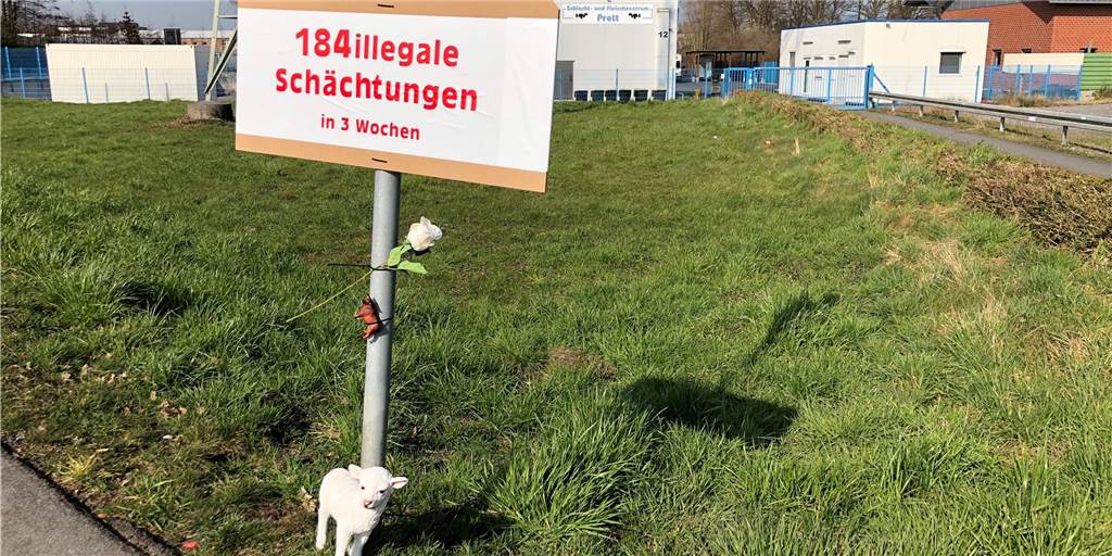 Schächtungs-Vorwürfe: Welche Gründe der Betrieb aus Selm gehabt haben könnte