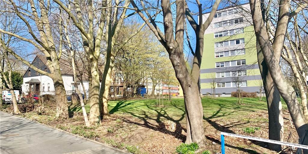 Letzte grüne Flecken verschwinden: Mehrfamilienhaus schließt „Baulücke“ Auf diesem Wiesengrundstück soll gebaut werden. 12 Wohneinheiten sollen hier entstehen.