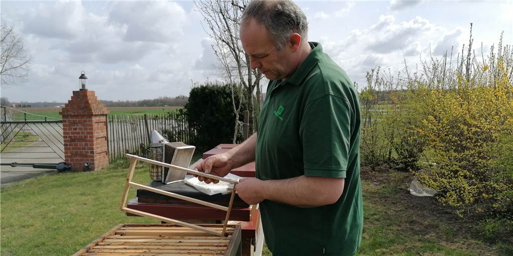 Legdener Hobbyimker setzt bei der Varroa-Milbe auf Prävention Hobbyimker Antonius Schulze Beikel setzt bei der Bekämpfung der Varroa-Milbe auf Drohnenrähmchen.