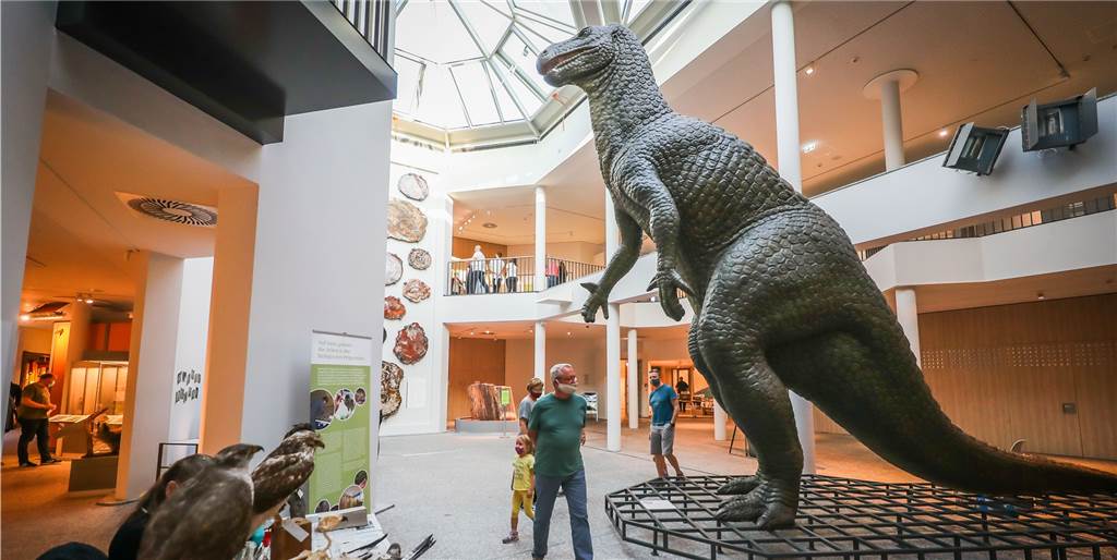 Dortmund öffnet Museen, will aber keine Lockerungen – wie passt das zusammen? Auch das Naturkundemuseum öffnet wieder am Freitag - für Besucher mit tagesaktuellem Schnelltest.
