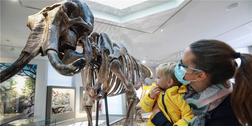 Museen wieder offen: So funktioniert die Anmeldung für Naturmuseum, U und Co. Das erst 2020 neu eröffnete Naturmuseum war am ersten Tag bei den Besuchenden besonders gefragt.