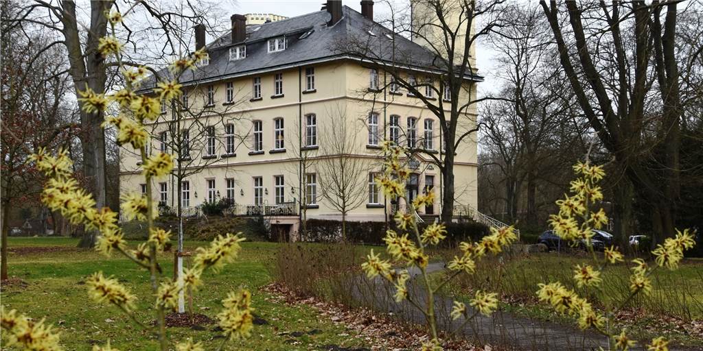 Wanderung im Lüner Süden: Herrensitz, Kommunisten und eine Frikadelle Die blühende Zaubernuss als Frühlingsbotin im Schwansbellpark.