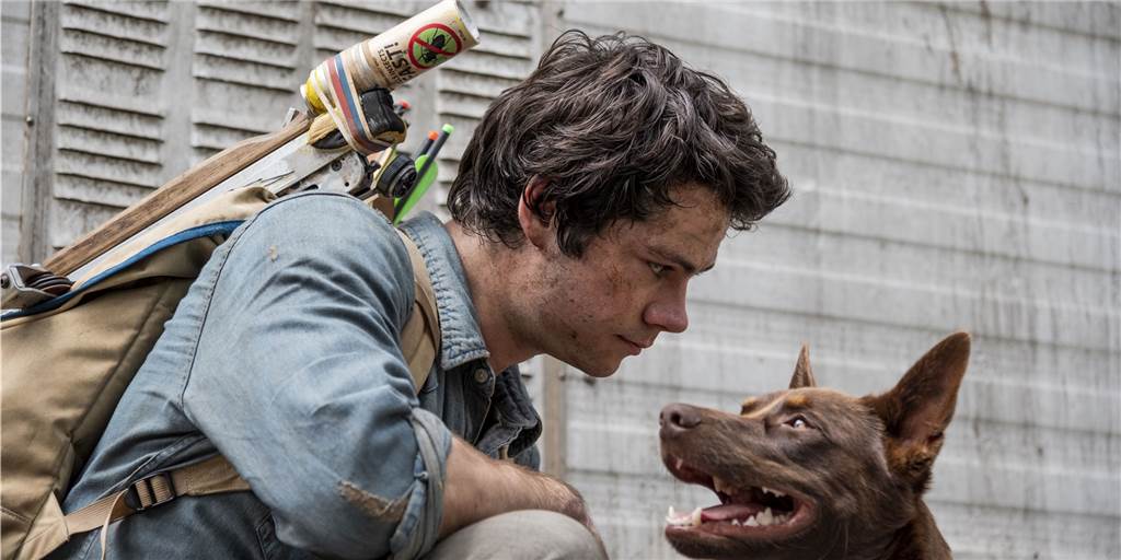 Joel (Dylan O‘Brien) trifft Reisegefährten.