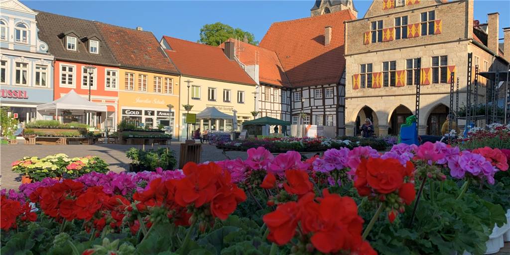 Picknicken, Kochen, Wandern: Ideen für das erste Date im Corona-Lockdown Welche Treffpunkte bieten sich Singles in Werne für ein erstes Date im Corona-Lockdown an? Zum Beispiel ein Bummel über den Wochenmarkt.