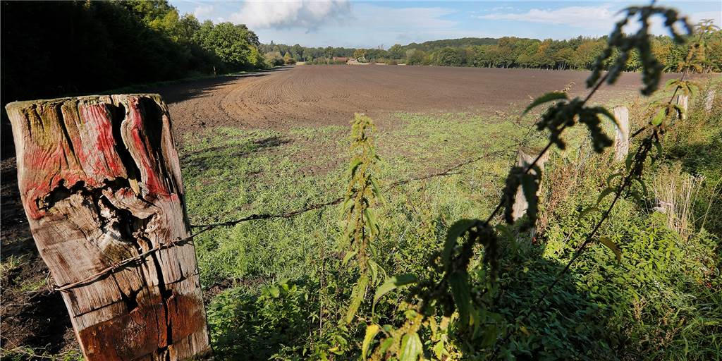 CDU will geplantes Gewerbegebiet südlich von Rünthe endgültig streichen In diesem Bereich an der Overberger Straße in Bergkamen war ein Gewerbegebiet geplant. Die CDU beantragt, es zu streichen. Chancen auf eine Realisierung gibt es wohl ohnehin nicht.