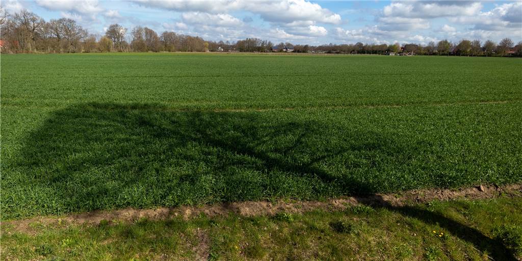 Knapp 200 Wohneinheiten: Riesiges Heeker Baugebiet nimmt Formen an Auf dieser Fläche soll das neue Heeker Baugebiet entstehen. Es ist im großen Stil geplant.