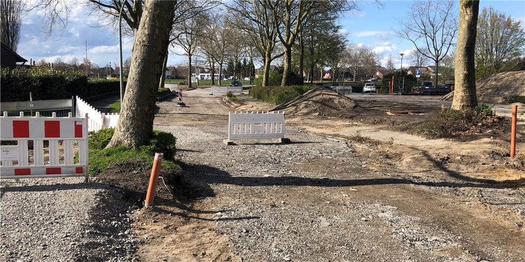 Fußweg soll den Platanen am Südring weichen Sehr nah an der ehemaligen Fahrbahn stehen am Südring die Bäume. Sie sollen nun mehr Platz bekommen.