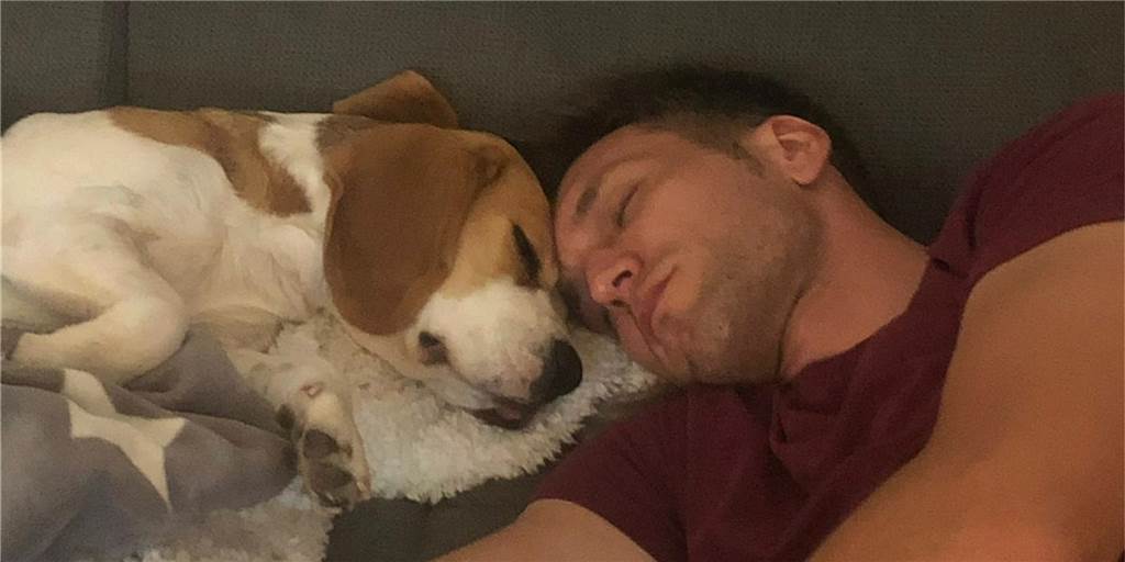 Besondere Freundschaften: Diese Hunde machen die Dortmunder Fußballer fit Besondere Freundschaften: Diese Hunde machen die Dortmunder Fußballer fit