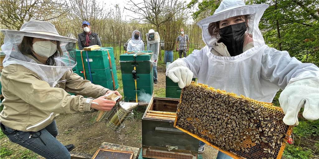 „Haustier“ Bienenkönigin: Junge Frauen sorgen für Leben auf Bolles Wiese „Haustier“ Bienenkönigin: Junge Frauen sorgen für Leben auf Bolles Wiese