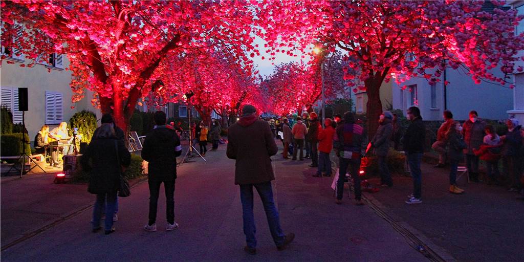 Kultur-Mahnwache unter Kirschblüten: Straßenfest-Feeling bis 23 Uhr