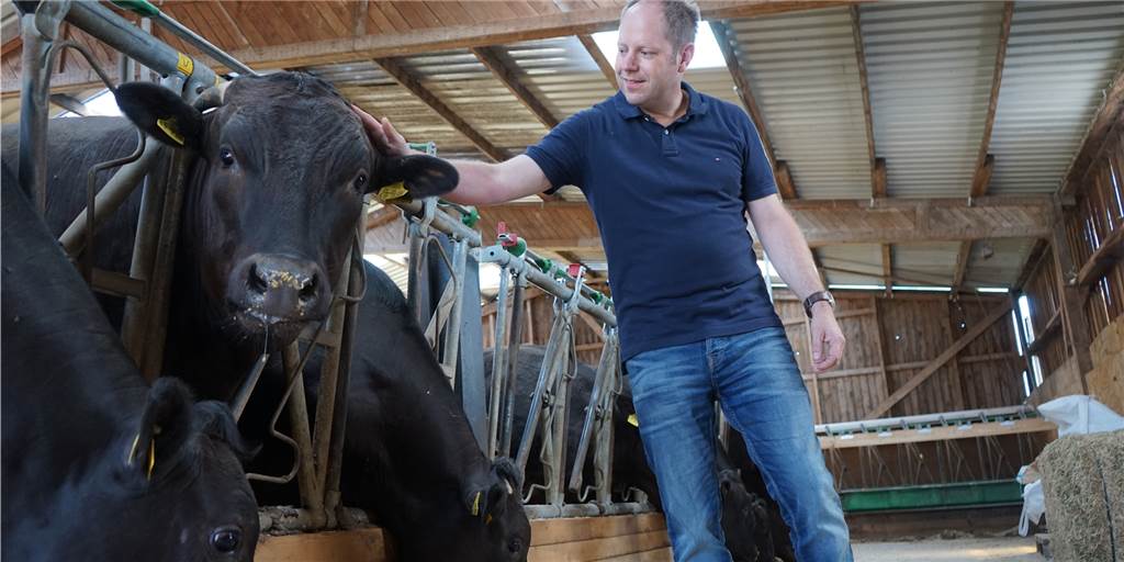 Patrick Balster in den Stallungen mit Wagyu-Rindern.