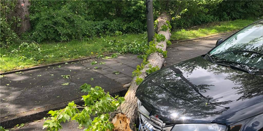 Sturm sorgt in Dortmund für gesperrte S-Bahn-Strecke und beschädigte Autos Eine Autofahrerin ist am Dienstagnachmittag (4.5.) auf der Straße Im Spähenfelde in der nördlichen Innenstadt gegen einen umgestürzten Baum geprallt. Der Baum hatte dem Sturmtief Eugen nicht standgehalten.