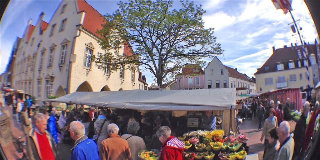 Blumenstände auf Halterner Wochenmarkt: Land sorgt für Klarheit Blumenstände sind in NRW trotz aktiver Notbremse zulässig. Das hat das Land jetzt klargestellt.
