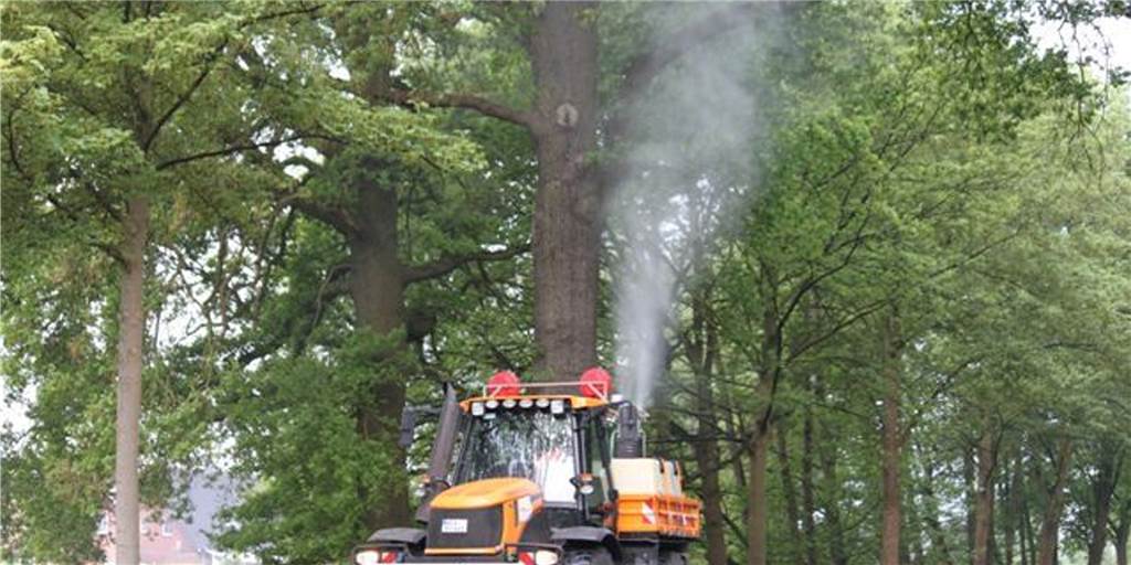 Strategie gegen Eichenprozessionsspinner: Stadt Haltern hofft auf Erfolg Mit Spritzen, die einer Schneekanone ähneln, sprüht Straßen.NRW winzige Fadenwürmer, auch auch Biozide in die befallenen Baumkronen.