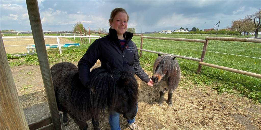 Spaziergänger füttern ungefragt Pferde: Große Gefahr für Mensch und Tier Reittrainerin und Pferdebesitzerin Karolin Otto (31) fürchtet um die Gesundheit ihrer Tiere. Der Grund: Viele Spaziergänger füttern die Pferde. Das kann für die Tiere schnell zur Gefahr werden.