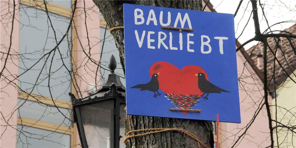 Stadtrat: Bürgerbegehren für Bäume am Schwerter Markt ist nicht zulässig Stadtrat: Bürgerbegehren für Bäume am Schwerter Markt ist nicht zulässig