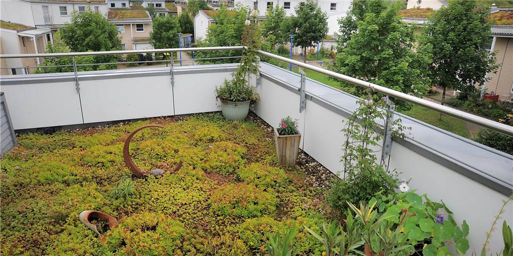 Begrünte Dächer sollen das Stadtklima verbessern, bieten Flachdach-Häusern aber auch bessere Dämmung.