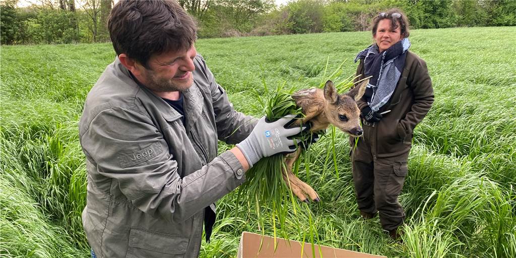 Kitzrettung Vreden rettet Wildtiere und bekommt Drohnenförderung vom Land Naturfreunde Michael Kadler und Sandra Bengfort haben ein Kitz mit der Drohne gefunden und gerettet.