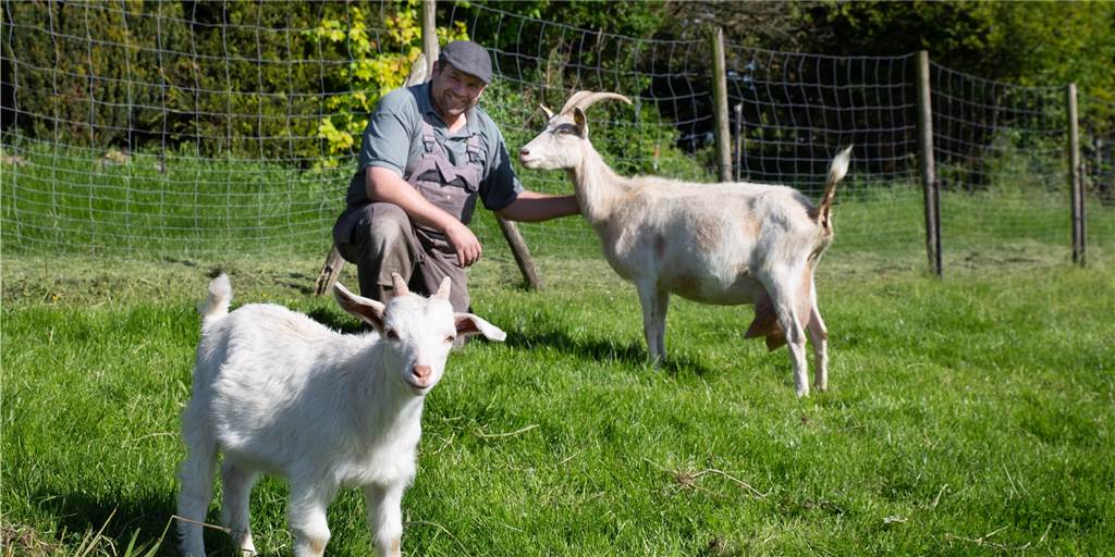 Hobby-Landwirt verkauft frische Ziegenmilch Der Kirchhellener Hobby-Landwirt Ramon Gorzny hat die Ziegen in sein Herz geschlossen.