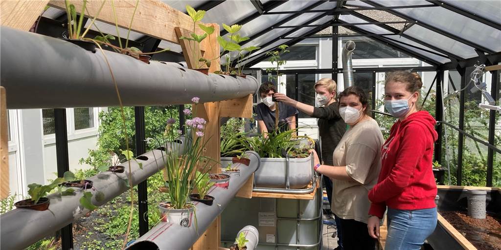 Wo Fische Pflanzen düngen: Dortmunder Schüler bauen nachhaltiges System Mit besonders großem Einsatz am Projekt beteiligt: Simon Mallmann, Florian Schons, Larissa Ruser und Jana Frank (von links nach rechts).