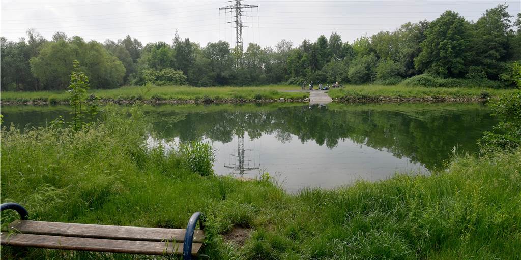 Tödlicher Badeunfall im Kanal in Lünen: Opfer wird obduziert Ungefähr an dieser Stelle sollen die vier Männer in den Datteln-Hamm-Kanal gesprungen sein.