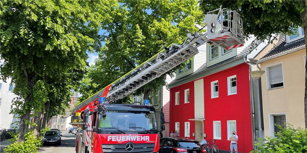 Katze im Baum: Feuerwehr Haltern in ungewöhnlicher Mission unterwegs Die Feuerwehr rückte zu einer Tierrettung an der Recklinghäuser Straße aus.