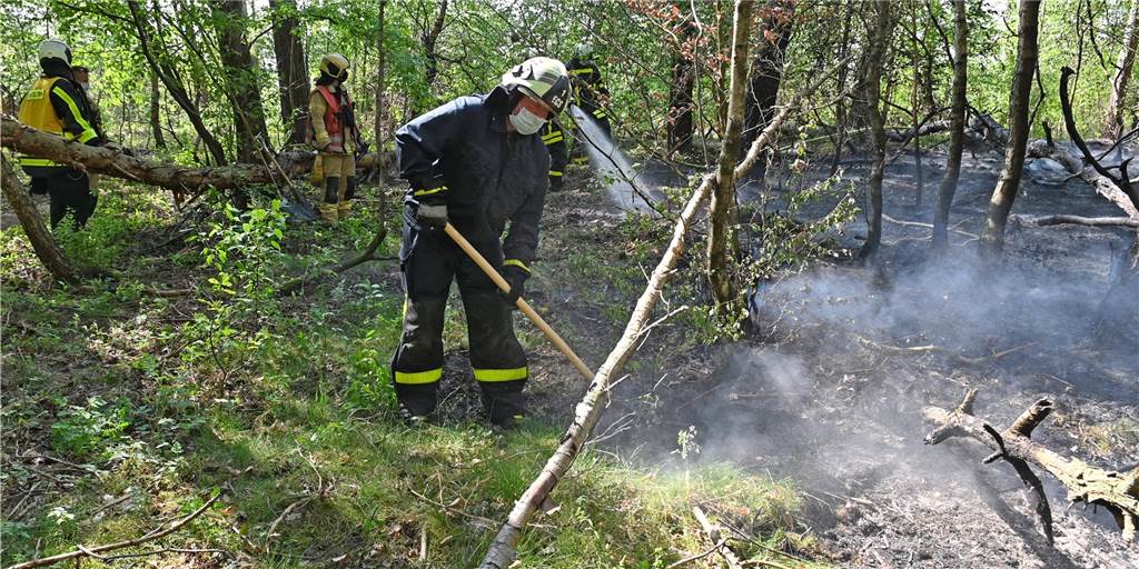 Waldbrandgefahr: Förster und Feuerwehr in Dorsten in Alarmbereitschaft Im April vergangenen Jahres musste die Feuerwehr einen Waldbrand in der Sandgrube am Freudenberg löschen.