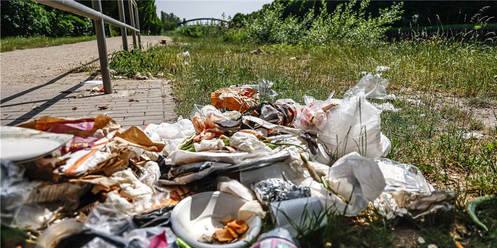 Krawall am Dortmunder Kanal: Spuck-Attacken, Müll und Wurfgeschosse Regelmäßig sammeln sich am Dortmunder Kanal Müllberge. Mülleimer oder Container gibt es keine an den Grünflächen.