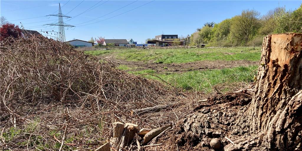 Stadtrat hat das letzte Wort: Bald können an der Eiche die Bagger rollen Wohnen am Emscherufer neben der Alten Eiche: Das künftige Baugebiet nördlich der Heerstraße ist wohl das bekannteste in Castrop-Rauxel, weil es politisch so umstritten war.