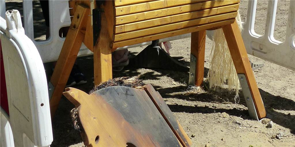 Nach Brand: Holzpferd kommt zurück an Borker Grundschule Viele Menschen bieten nun ihre Hilfe an, das Holzpferd zu reparieren oder zu ersetzen.