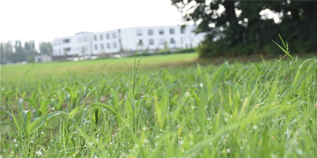 Neues Wohngebiet mit 17 Grundstücken an der Oldenkotter Straße geplant Zwischen der Oldenkotter Straße und dem Krankenhaus sollen Baugrundstücke entstehen.