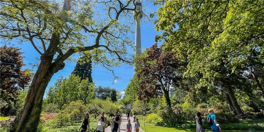 Express-Entschärfung: Schon wieder 3 Blindgänger im Westfalenpark gefunden Im Westfalenpark sind am Dienstag gleich drei Bomben-Blindgänger gefunden worden.
