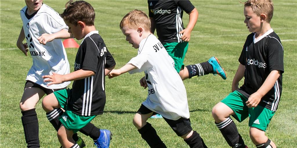 „Das ist ein großer Batzen“ – Reformpläne des FLVW treffen auf Widerstand Fünf Fußball-Kids auf engstem Raum. Solche Szenen wird es im Kreis Recklinghausen zukünftig wohl nur noch sehr selten geben.